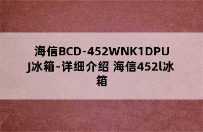 海信BCD-452WNK1DPUJ冰箱-详细介绍 海信452l冰箱